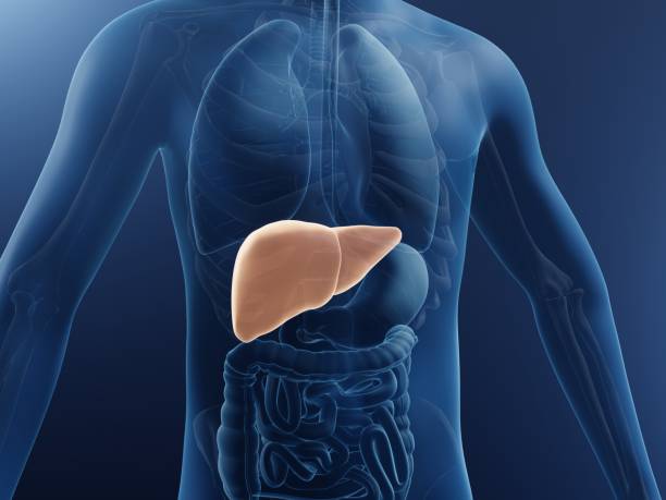 Best Doctor For Fatty Liver in Kopar Khairane
